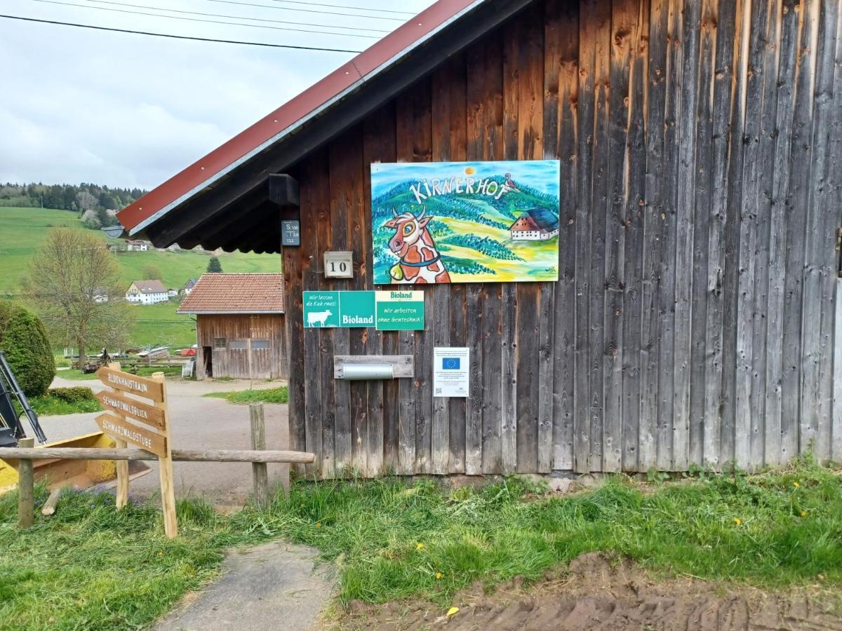 Апартаменти Schwarzwaldstube Тітізе-Нойштадт Екстер'єр фото