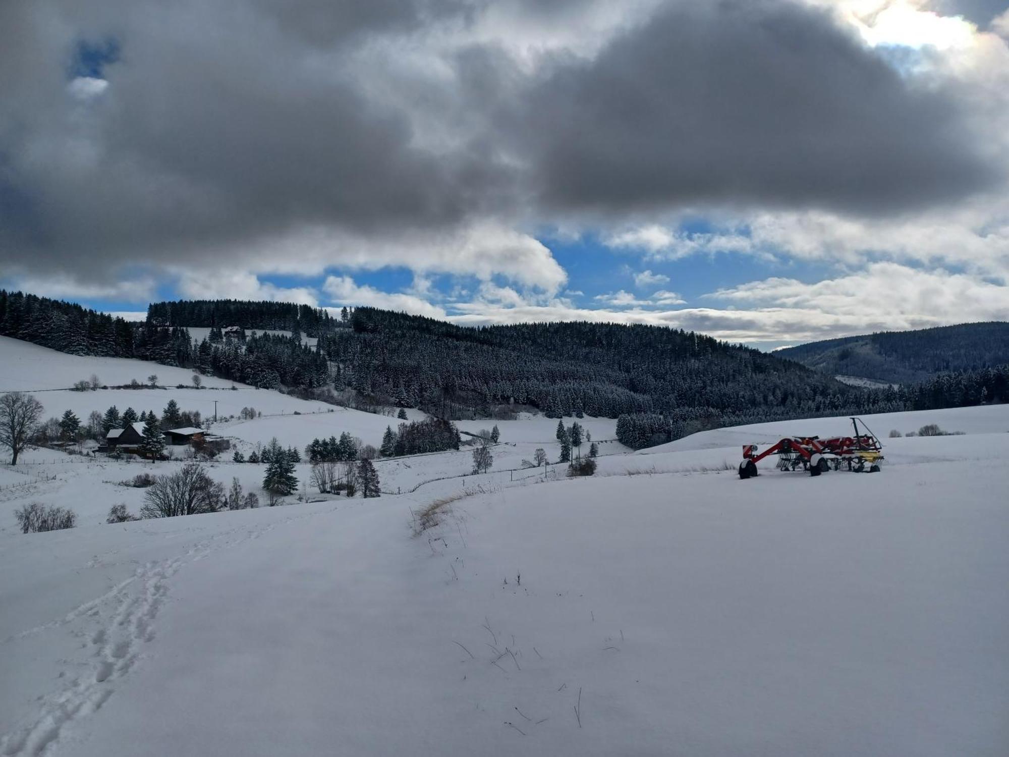Апартаменти Schwarzwaldstube Тітізе-Нойштадт Екстер'єр фото